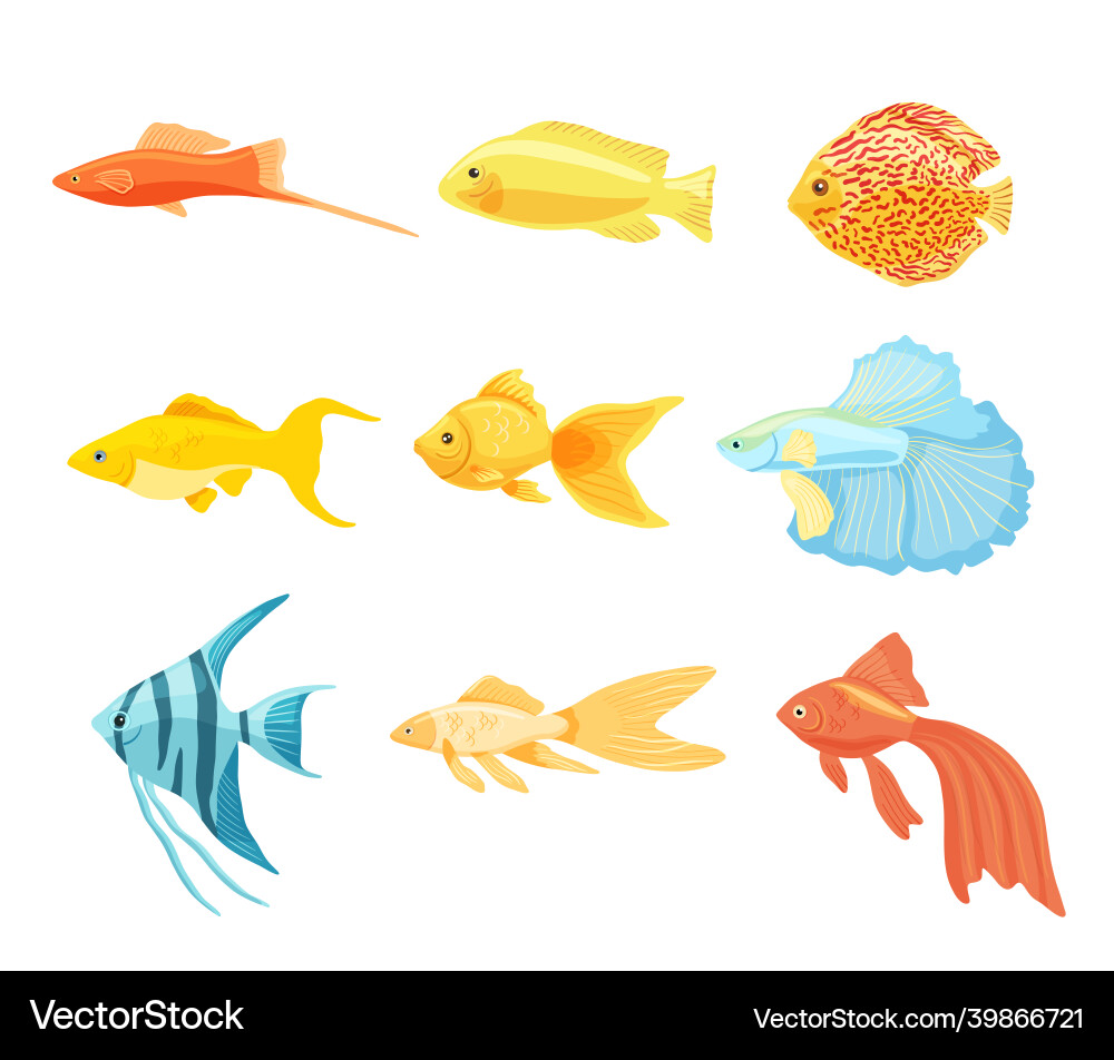 Set of aquarium fishes clipart collection Vector Image