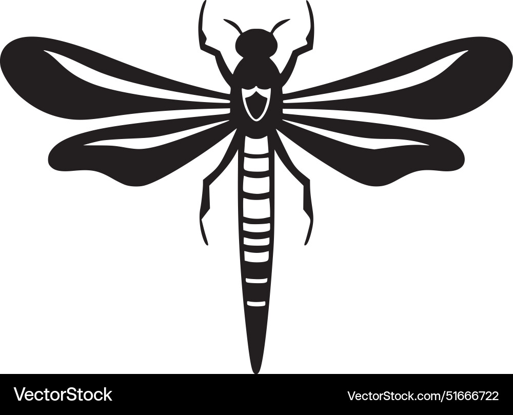 Dragonfly - hochwertiges Logo ideal für T-Shirt Dragonfly - hochwertiges Logo ideal für T-Shirt vektorbild