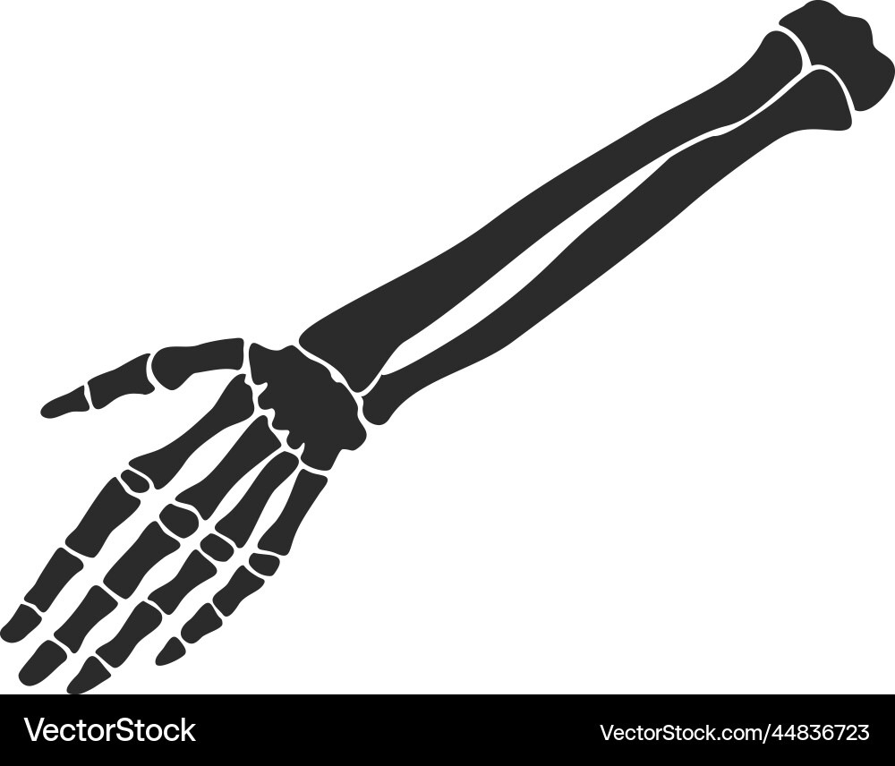 Human Skelett Hand Anatomie Vektorbild