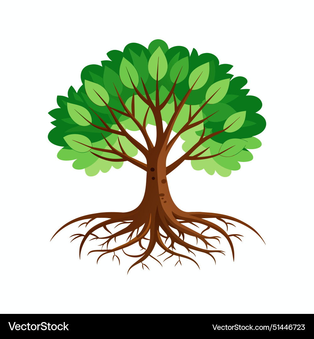 Tree with roots Tree with roots vector image