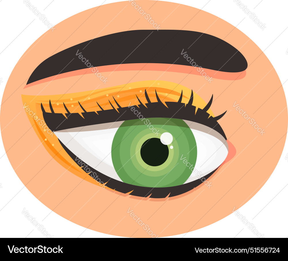 Female green eye with long black eyelashes showing Female green eye with long black eyelashes showing vector image