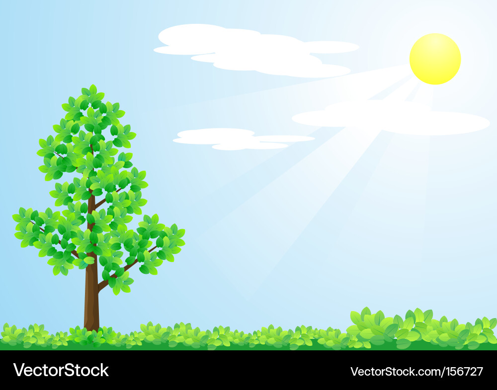 Tree and sun vector image