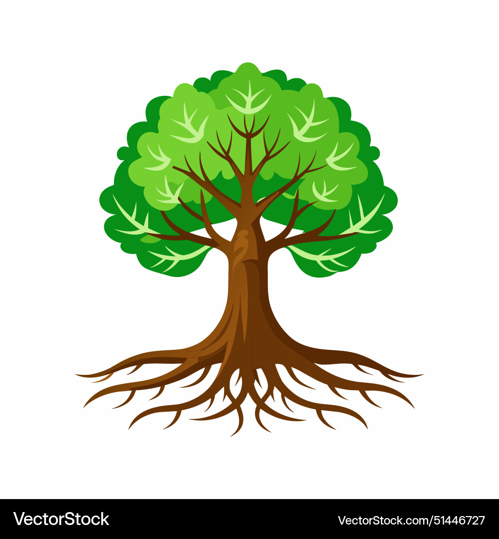 Tree with roots Tree with roots Vector Image