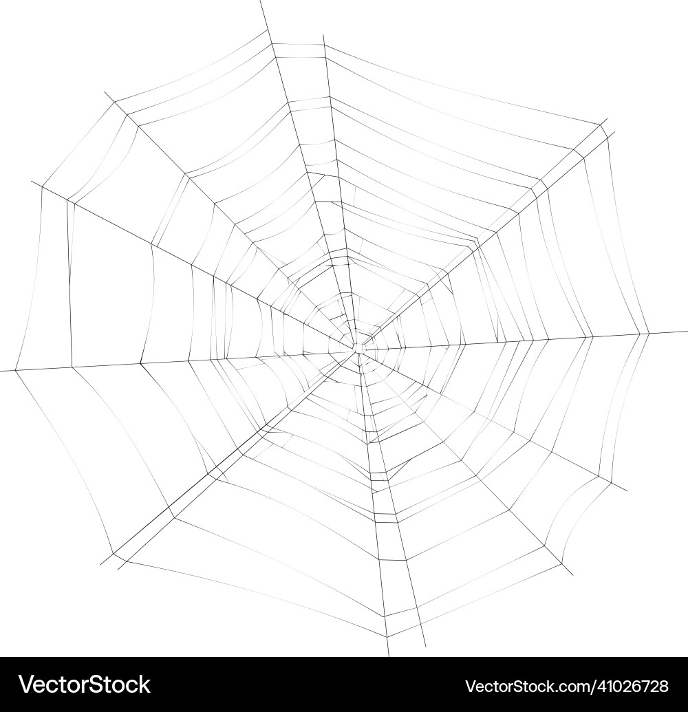 Realistic Cobweb Spiderweb vector image
