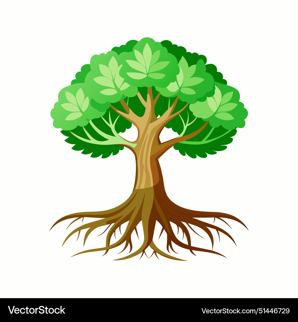 Tree with roots Tree with roots Vector Image