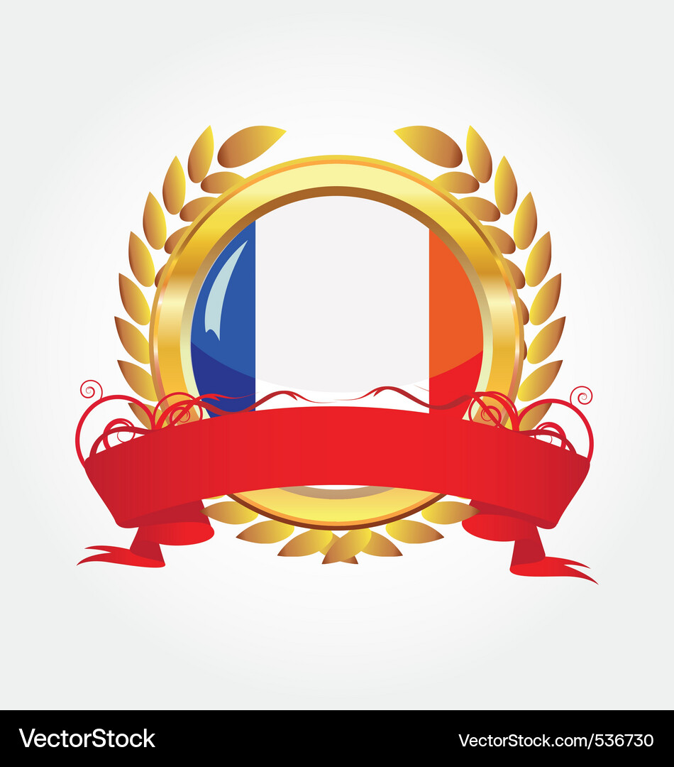 France shiny button flag with golden frame Vector Image