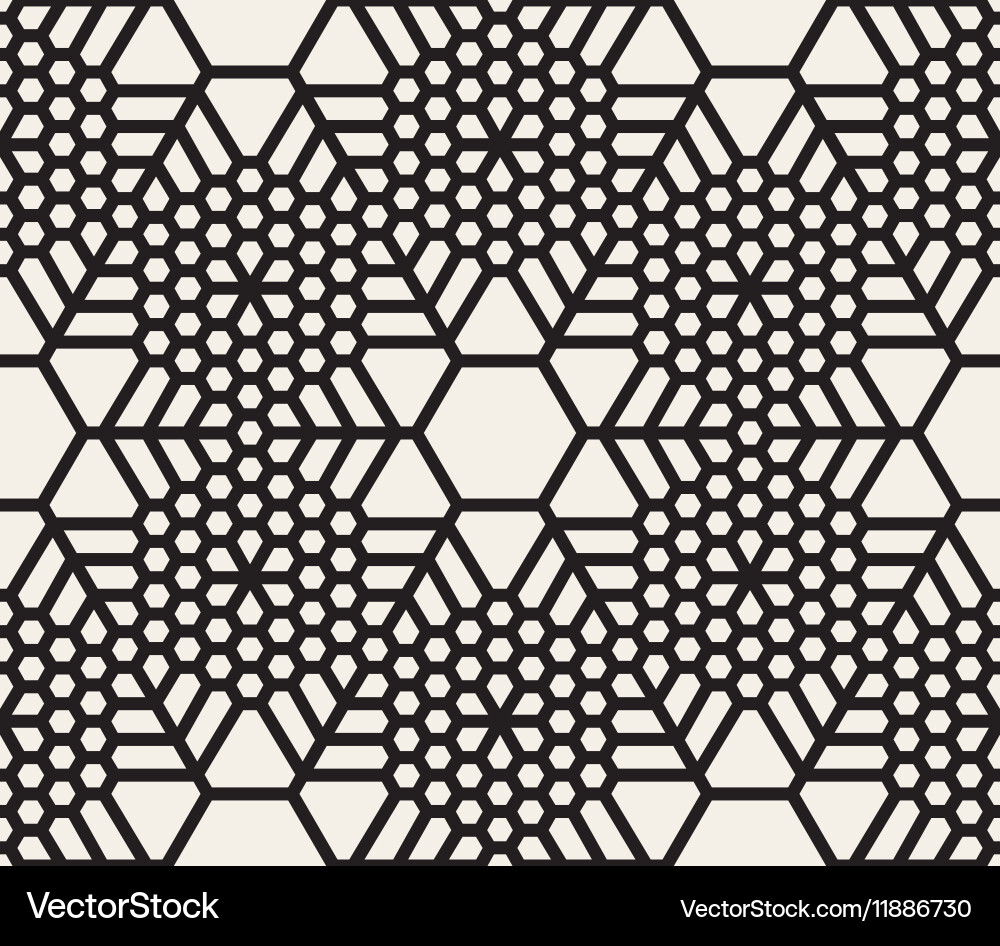 Geometric Snowflake Grid Pattern vector image