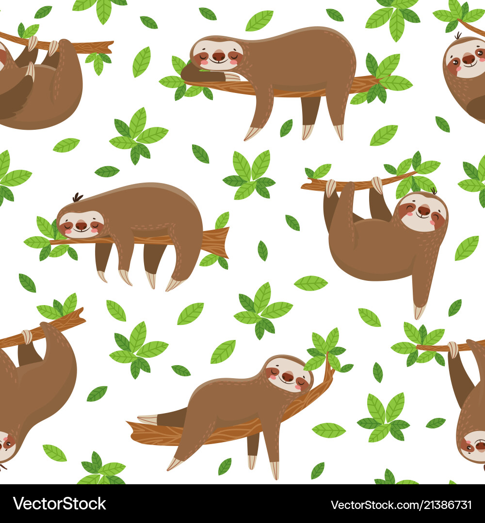 Cute Sloth Seamless Pattern vector image