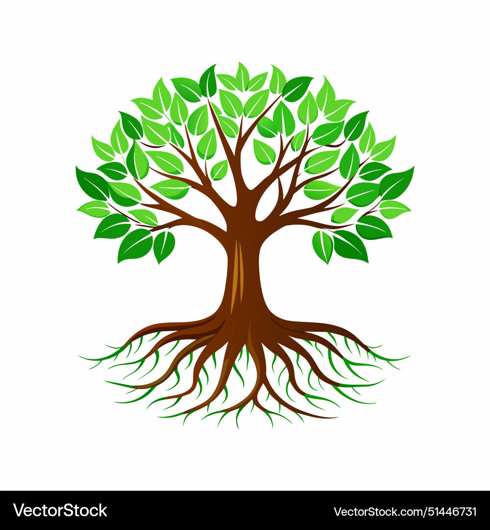 Tree with roots Tree with roots Vector Image