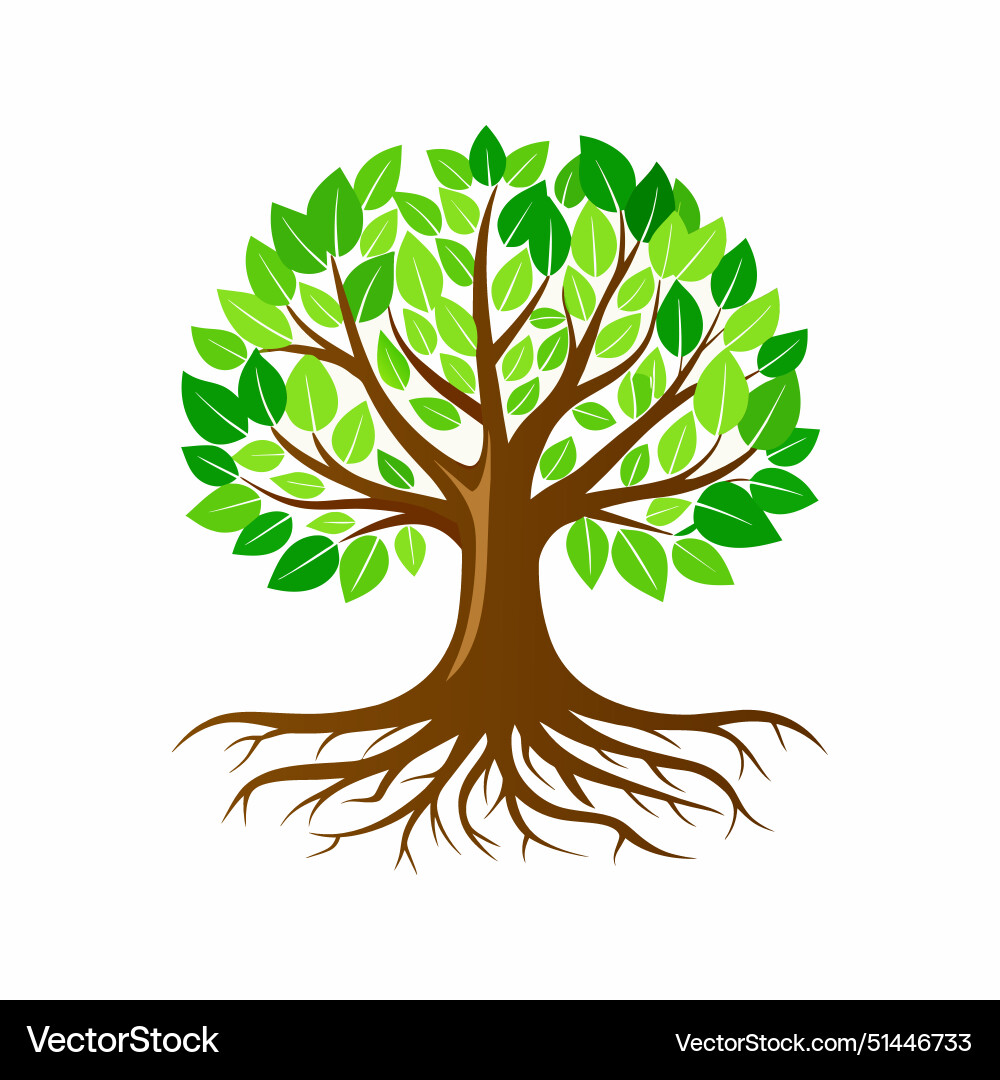 Tree with roots Tree with roots vector image