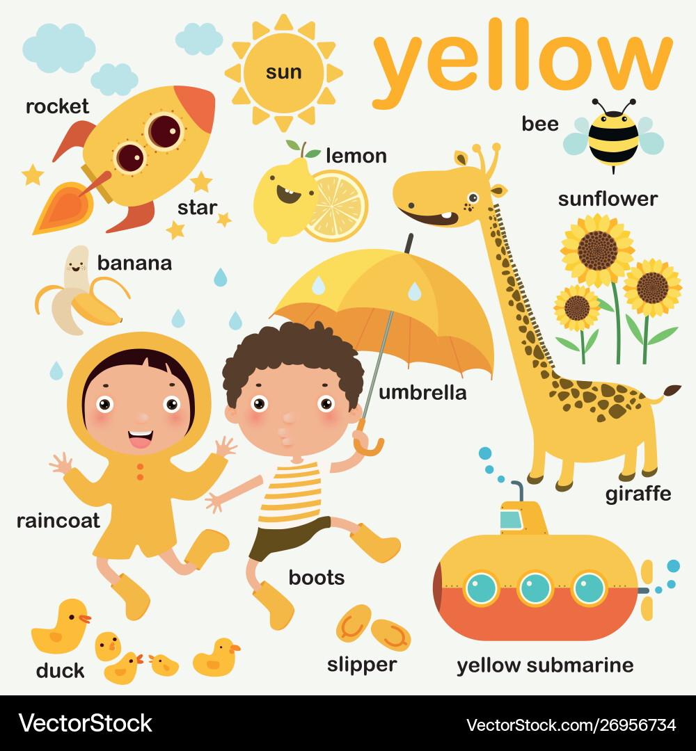 Yellow learn for preschool english vocabulary vector image