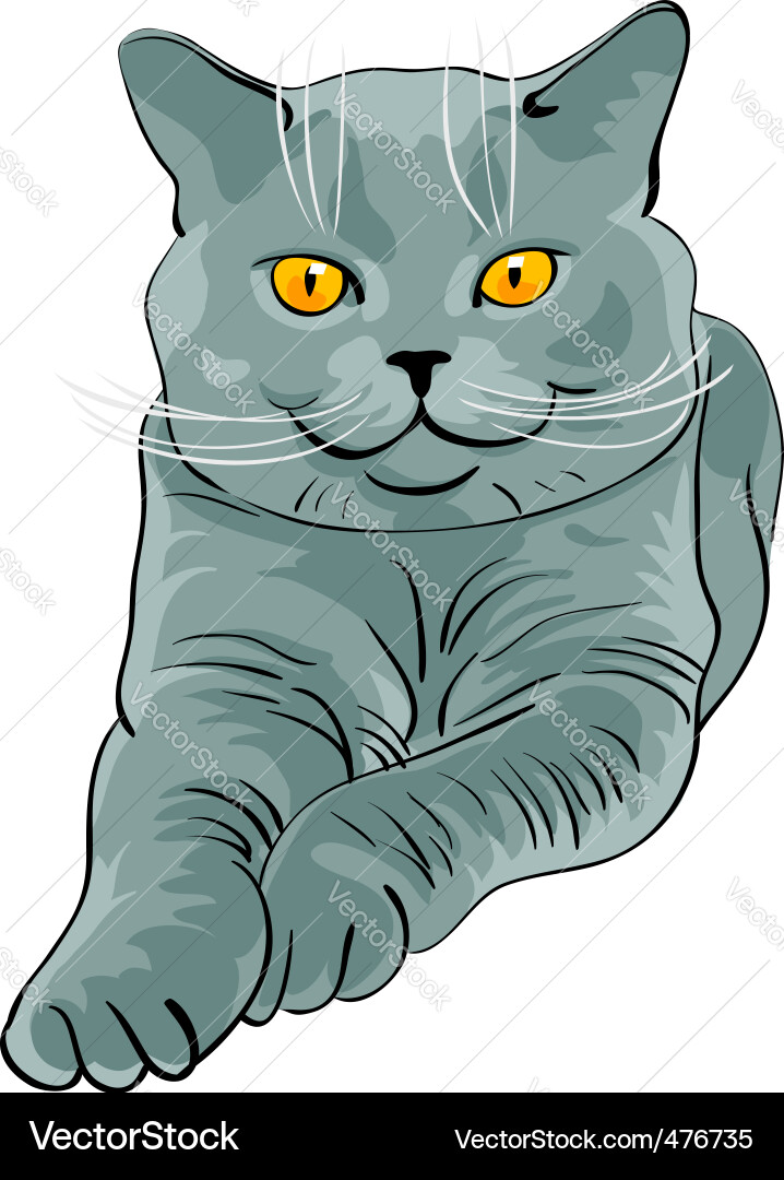 Blau Britisch Kurzhaar Katze Vektorbild