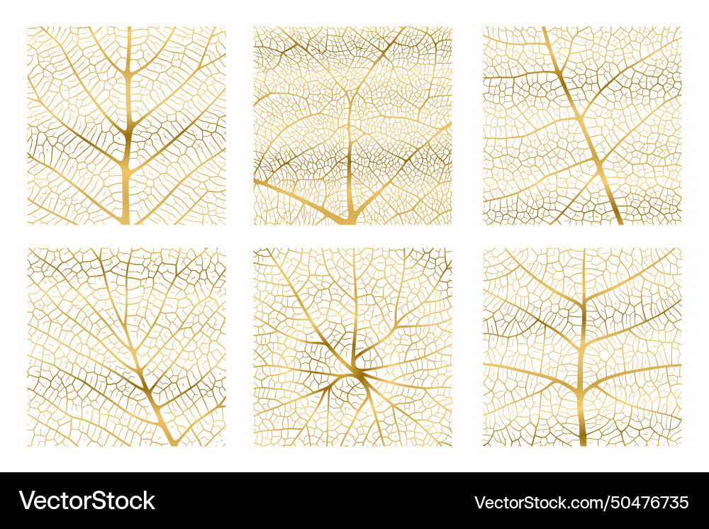 Leaf vein texture abstract background with close Leaf vein texture abstract background with close vector image