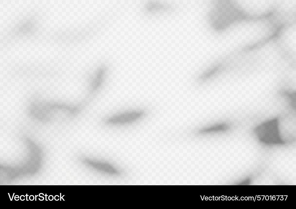 Abstract shadow overlay from tree branch Abstract shadow overlay from tree branch vector image