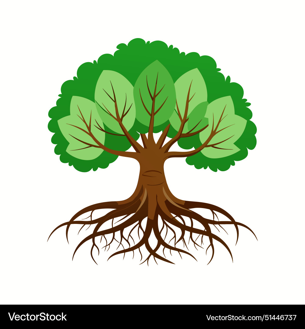 Tree with roots Royalty Free Vector Image - VectorStock