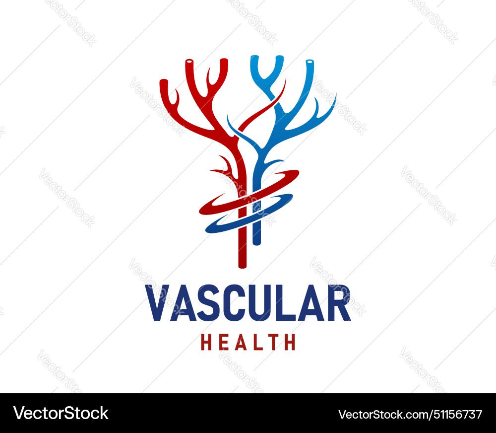 Vein vascular artery health icon or emblem Vein vascular artery health icon or emblem vector image