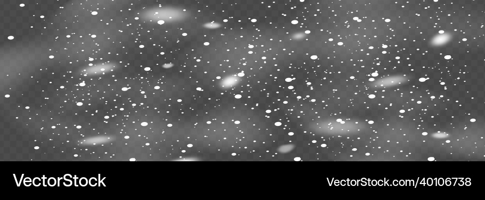 Snowfall snowflakes in different shapes and forms Snowfall snowflakes in different shapes and forms vector image