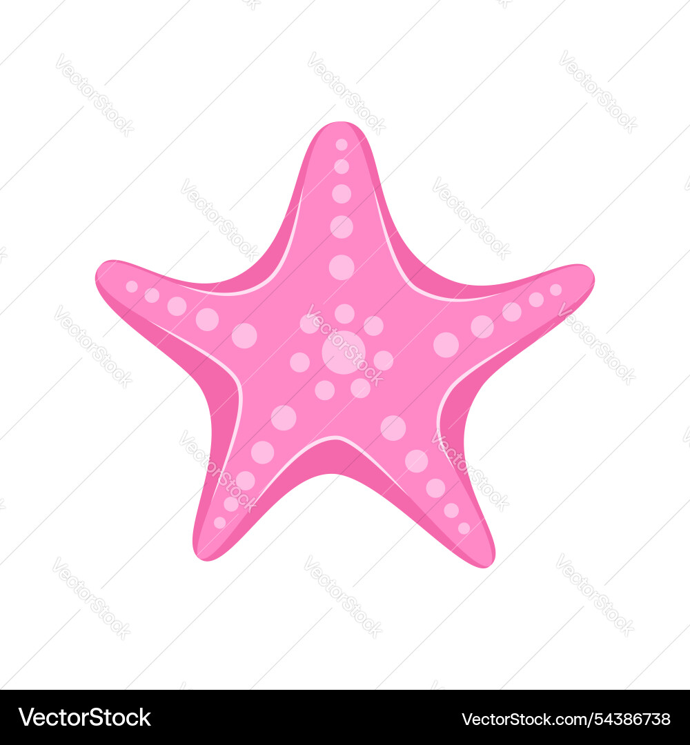 Starfish icon in flat style sea stars on isolated Starfish icon in flat style sea stars on isolated vector image
