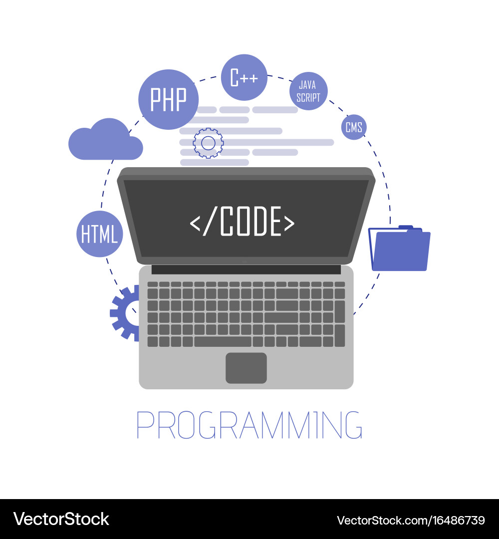 Coding & Website Development vector image