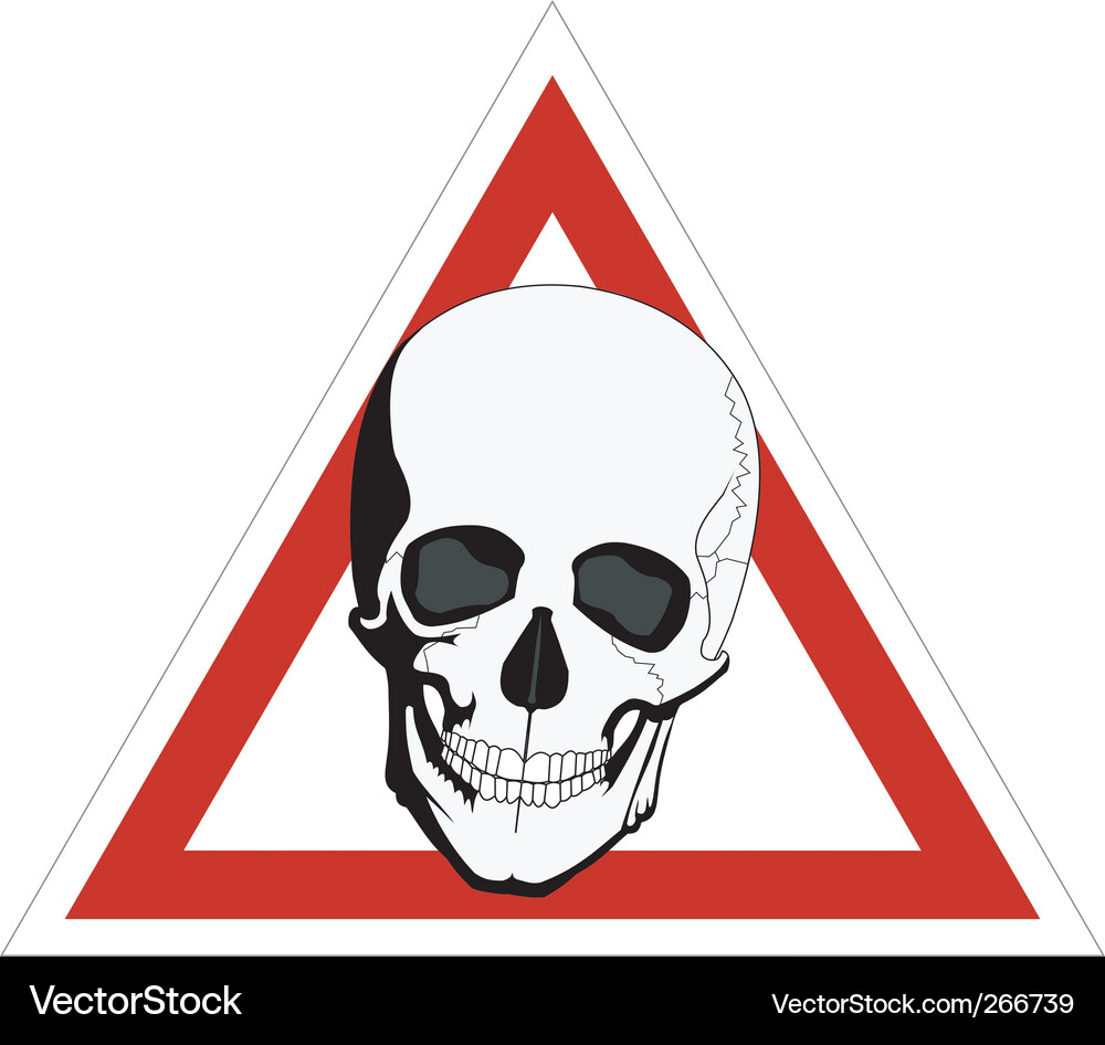 Skeleton on board Vector Image