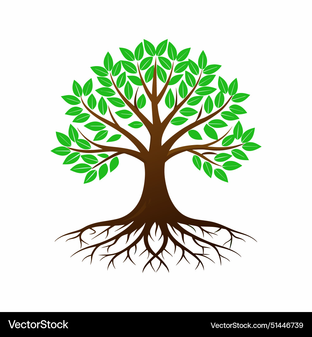 Tree with roots Tree with roots vector image