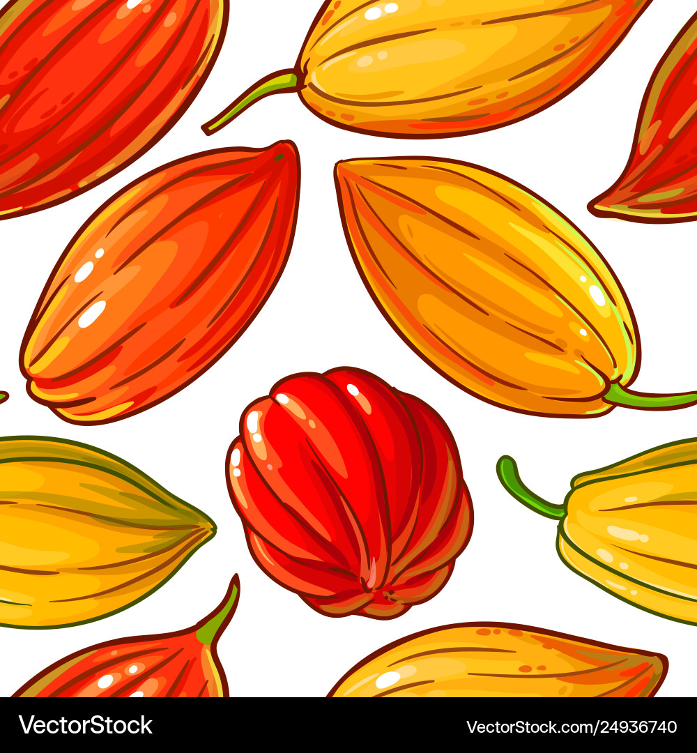 Cocoa seeds pattern on white background Cocoa seeds pattern on white background vector image