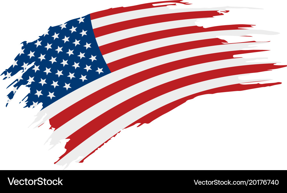 USA Flag Graphic vector image