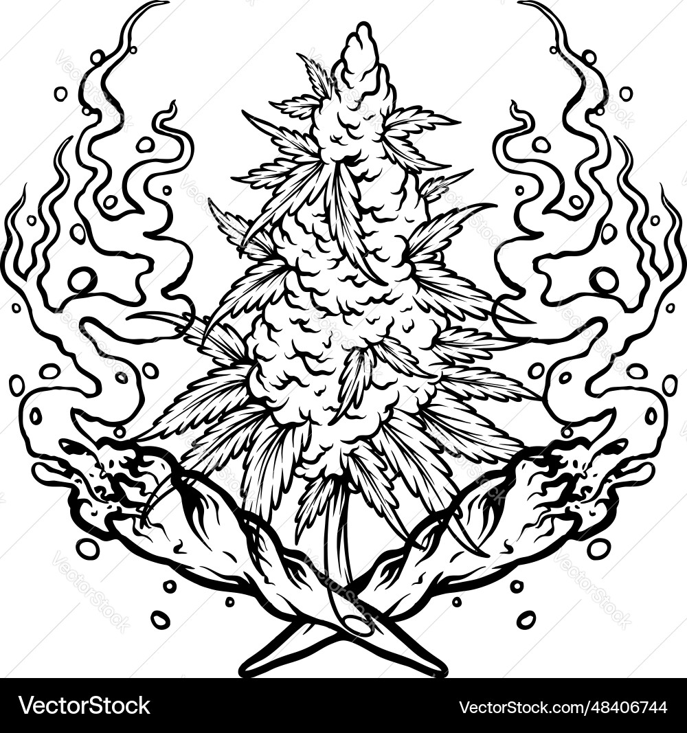 High time smoking weed with cannabis bud leaf – Royalty-Free Vector |  VectorStock, image size:1000x1067