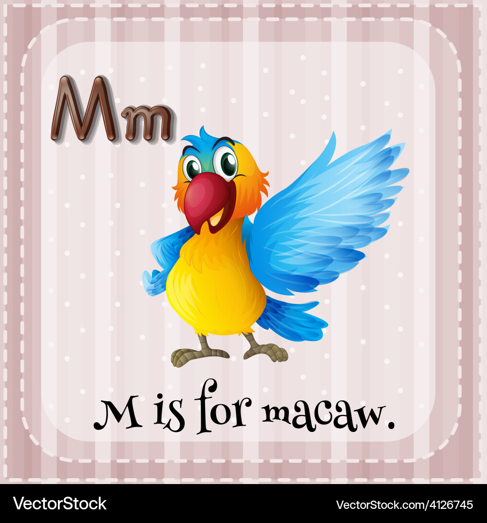 Letter m Royalty Free Vector Image - VectorStock