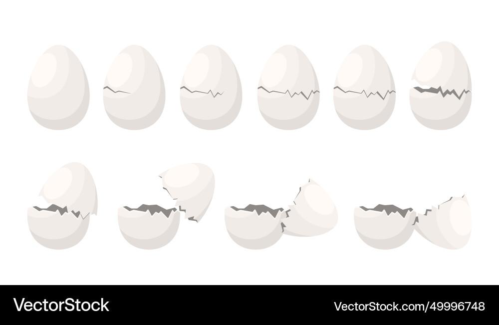 Broken egg set sequence game animation shell Broken egg set sequence game animation shell vector image