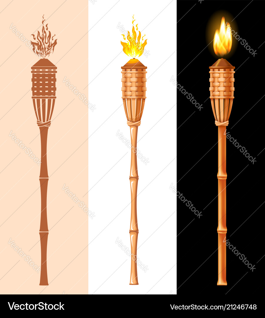 Tiki Torch Set - Various Styles vector image