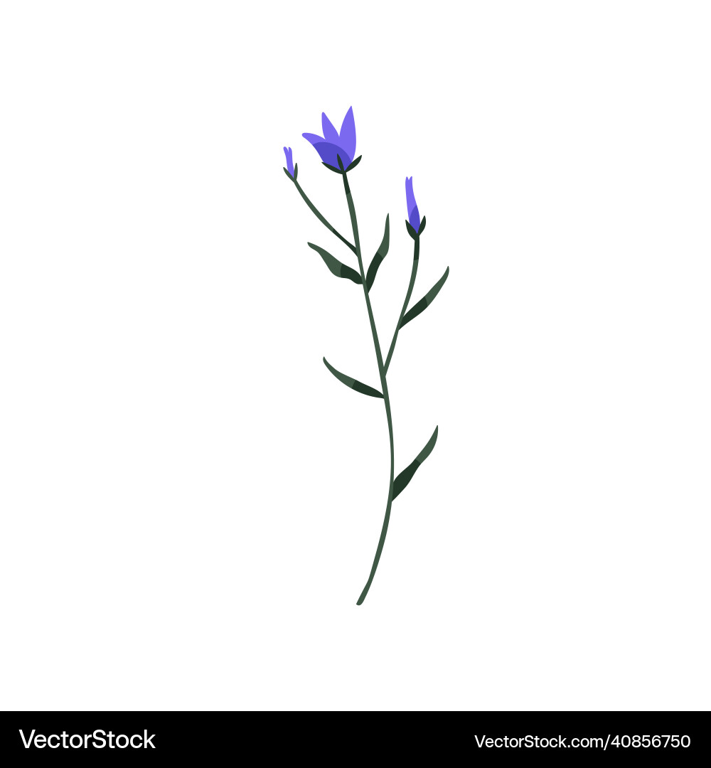Bluebell Blume wild blaue Glocke auf Stamm mit Blatt Bluebell Blume wild blaue Glocke auf Stamm mit Blatt vektorbild