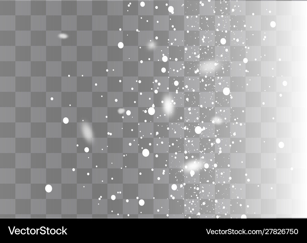 Snowfall snowflakes in different shapes and forms vector image