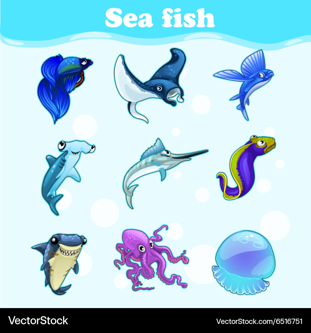 Colorful set of marine animals Vector Image