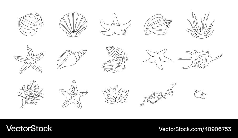 Continuous Seashell & Starfish Outline Vector Image