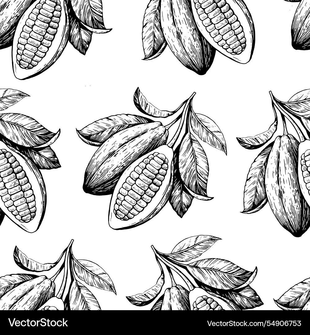 Seamless pattern with cocoa beans hand-drawn Seamless pattern with cocoa beans hand-drawn vector image