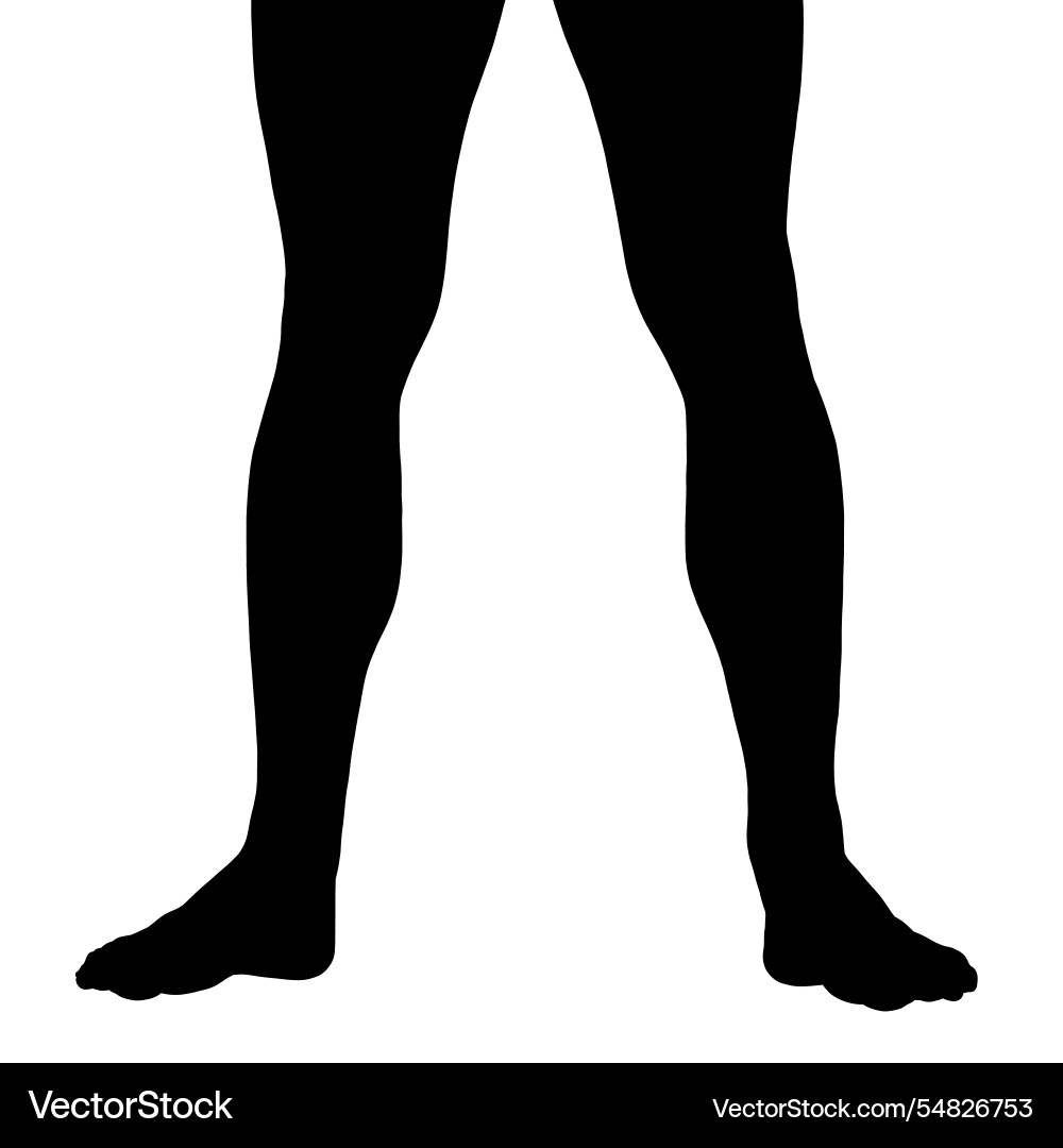 Silhouette of male legs isolated on white Silhouette of male legs isolated on white vector image