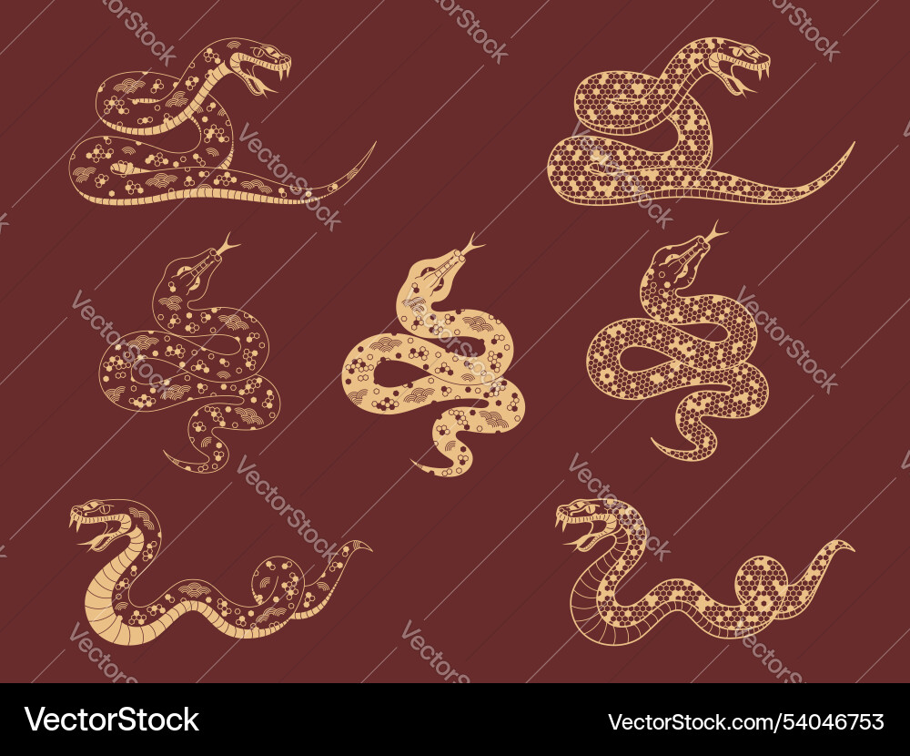 Verschiedene chinesische Schlangenset Verschiedene chinesische Schlangenset vektorbild