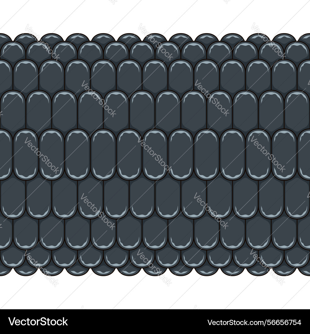 Horizontal seamless pattern with corn cob texture Horizontal seamless pattern with corn cob texture vector image