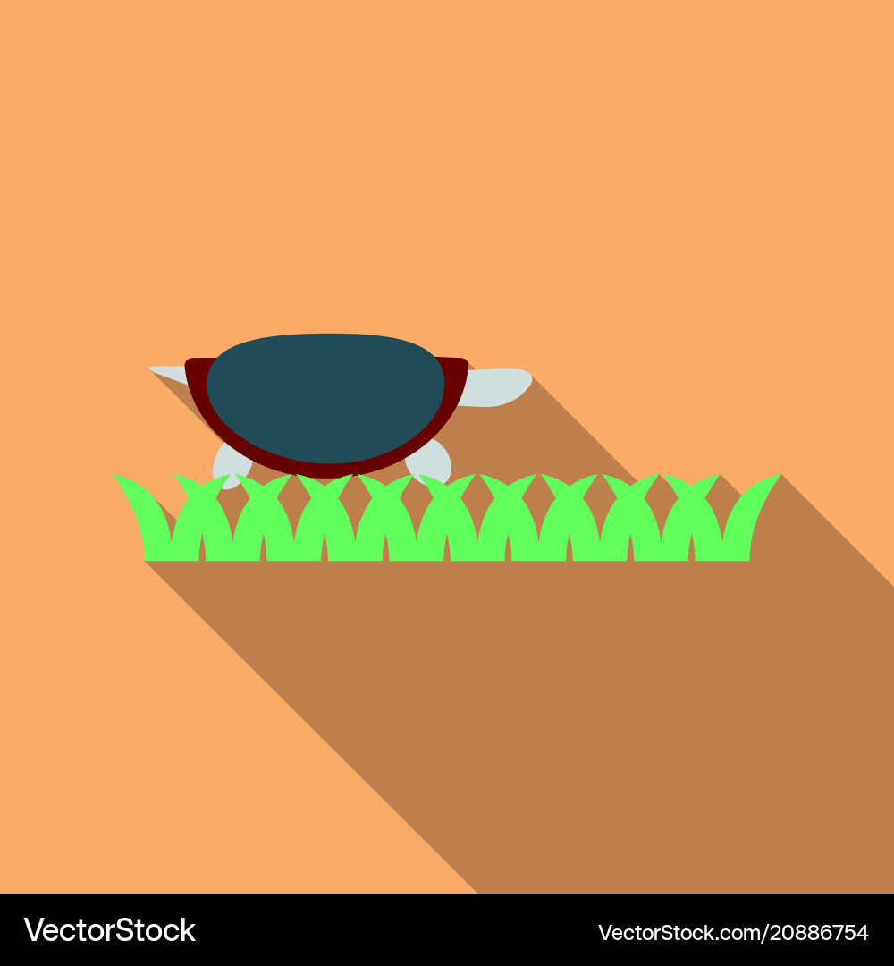 Turtle with shell in the grass flat design vector image