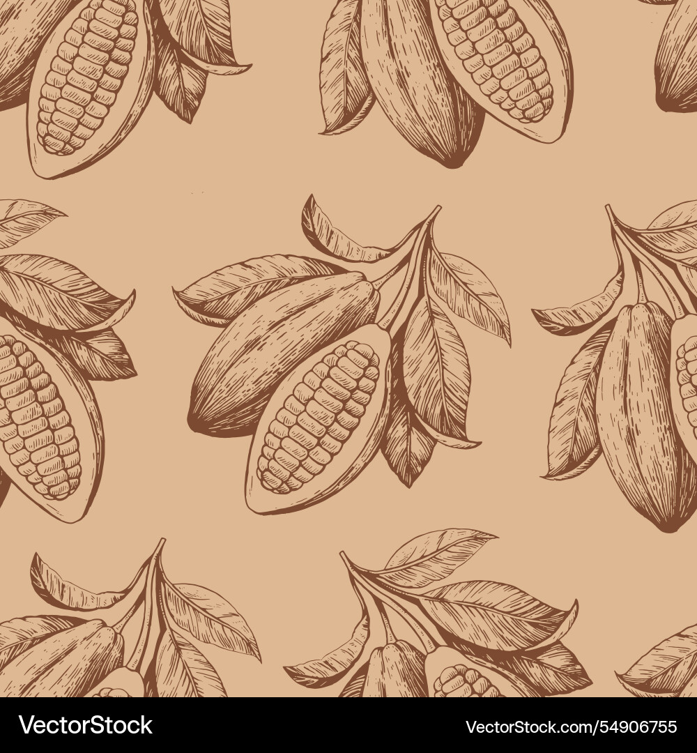 Seamless pattern with cocoa beans hand-drawn vector image