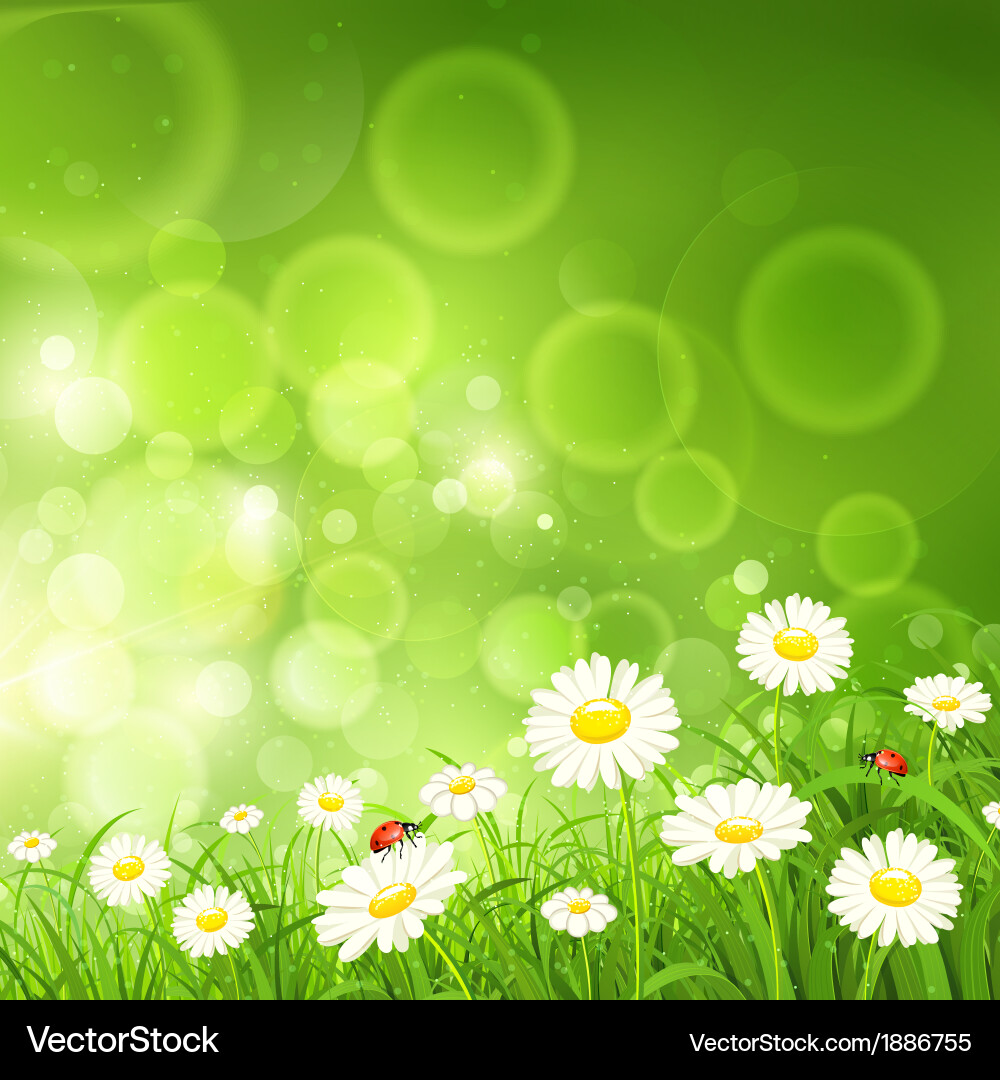 Spring background with flowers Royalty Free Vector Image