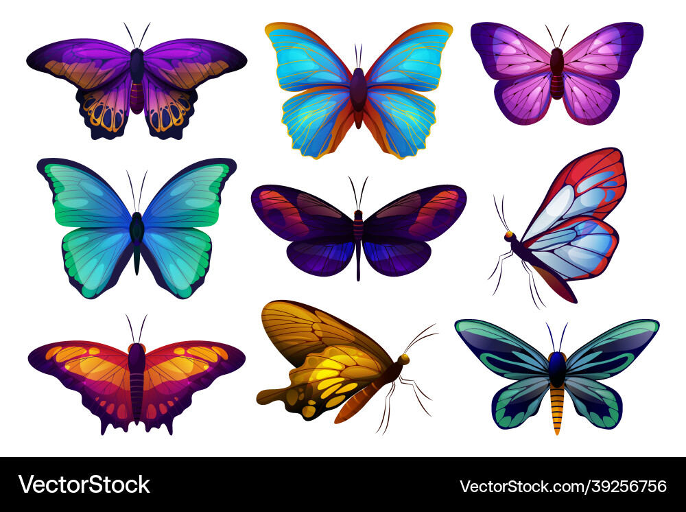 Colorful Butterfly & Moth Icons Vector Image