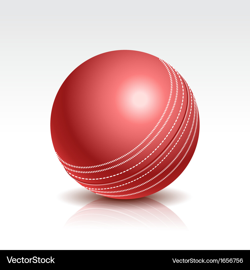 Cricket Ball - Close-Up Shot Vector Image