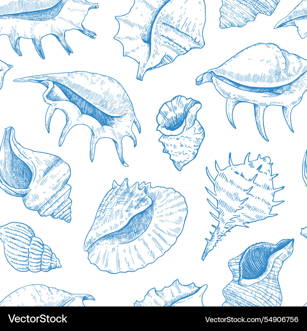 Seamless pattern with shells black and white Vector Image