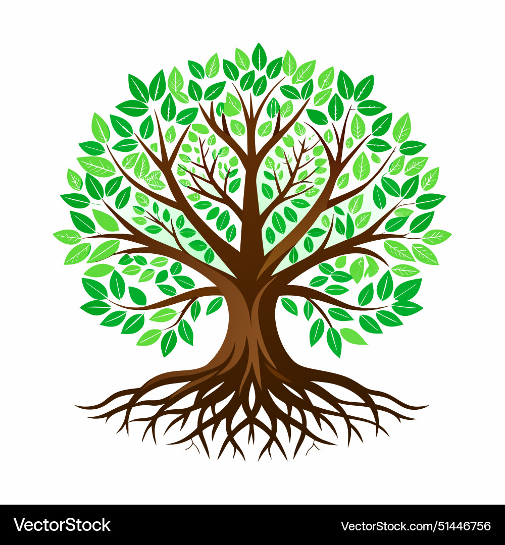 Tree with roots Tree with roots Vector Image