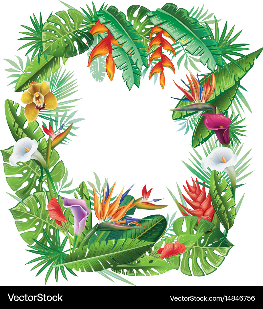 Tropical Floral Frame Vector Image