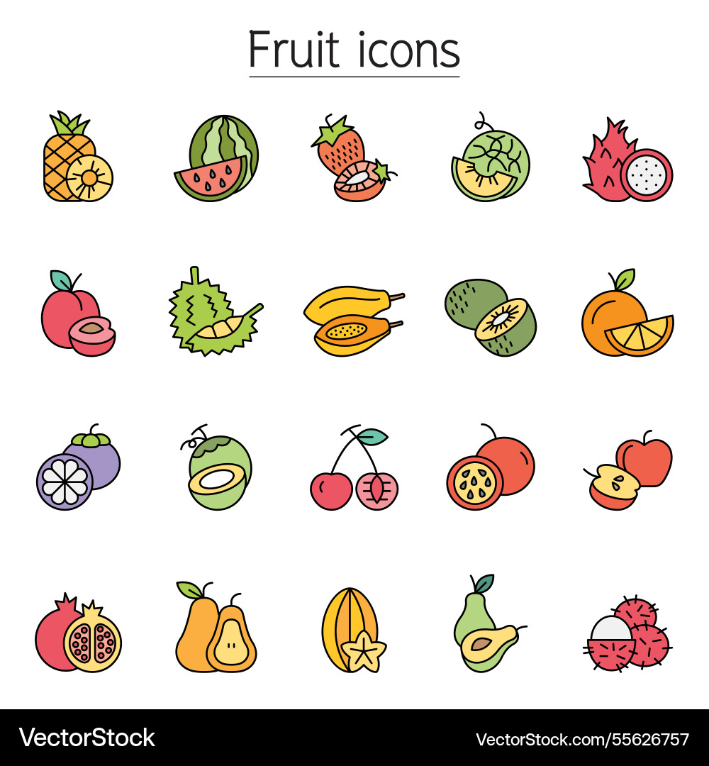 Fruit icon set in color line style Fruit icon set in color line style vector image