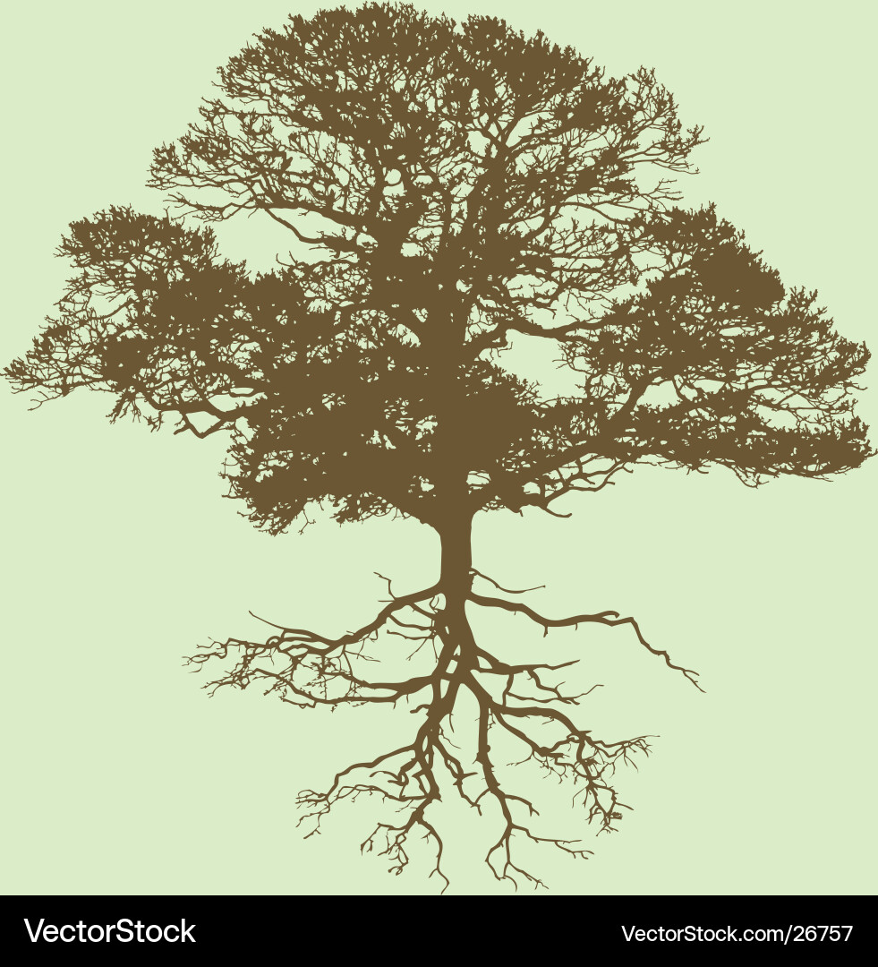 Lone Tree Silhouette Vector Image