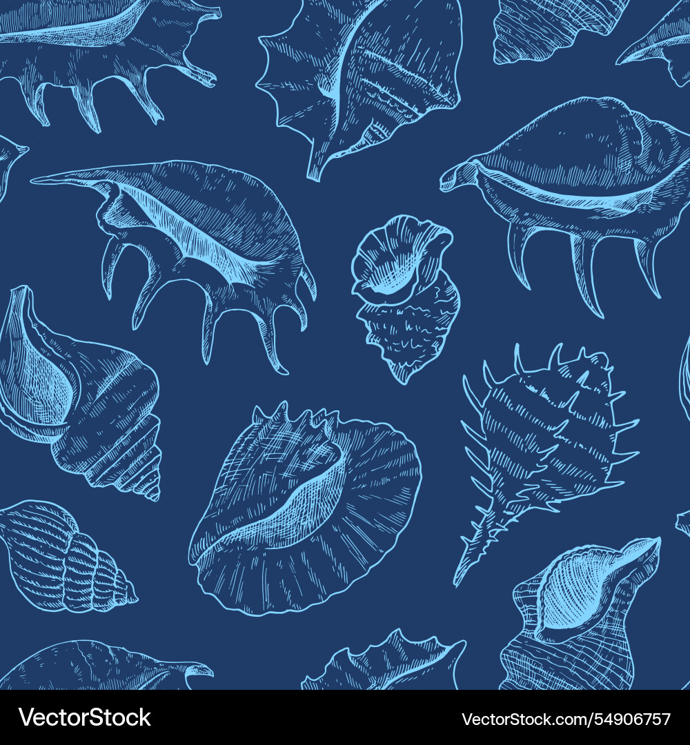 Seamless pattern with shells black and white Vector Image